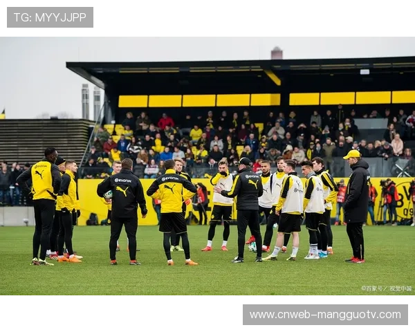 多特蒙德流失核心攻击手，启用多名青训小将